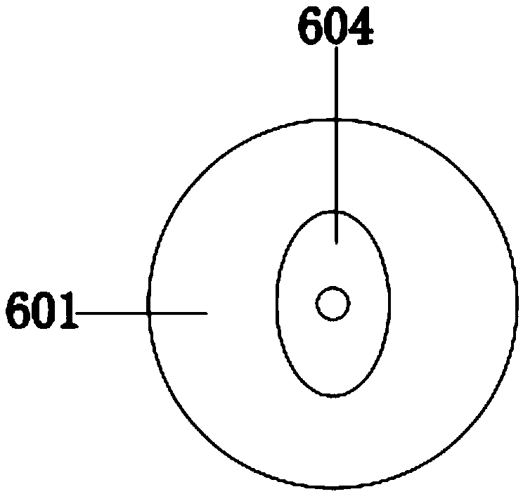 A pediatric clinical diagnostic apparatus and a method of use thereof