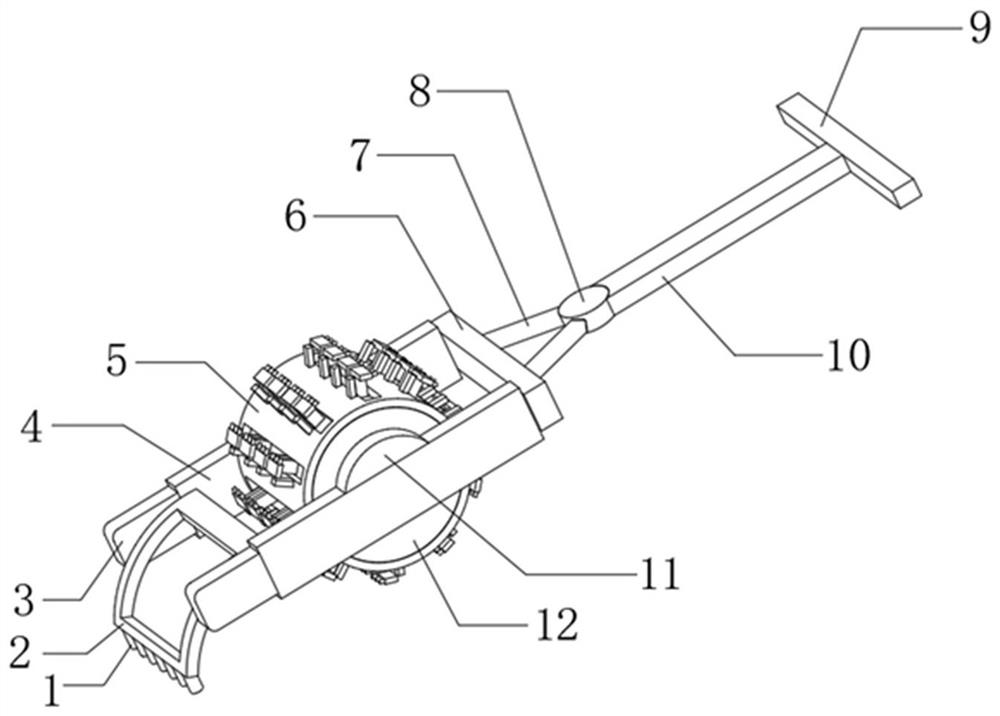 Weeding device for agricultural production and application method of weeding device