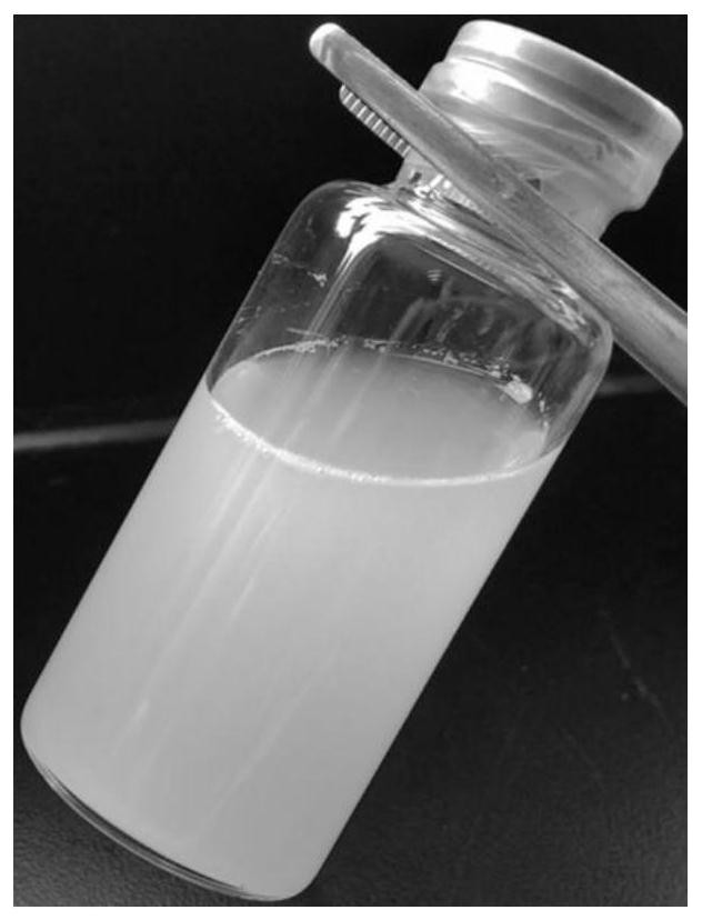 Preparation method and application of polyphyllin nano-liposome dry powder inhalation