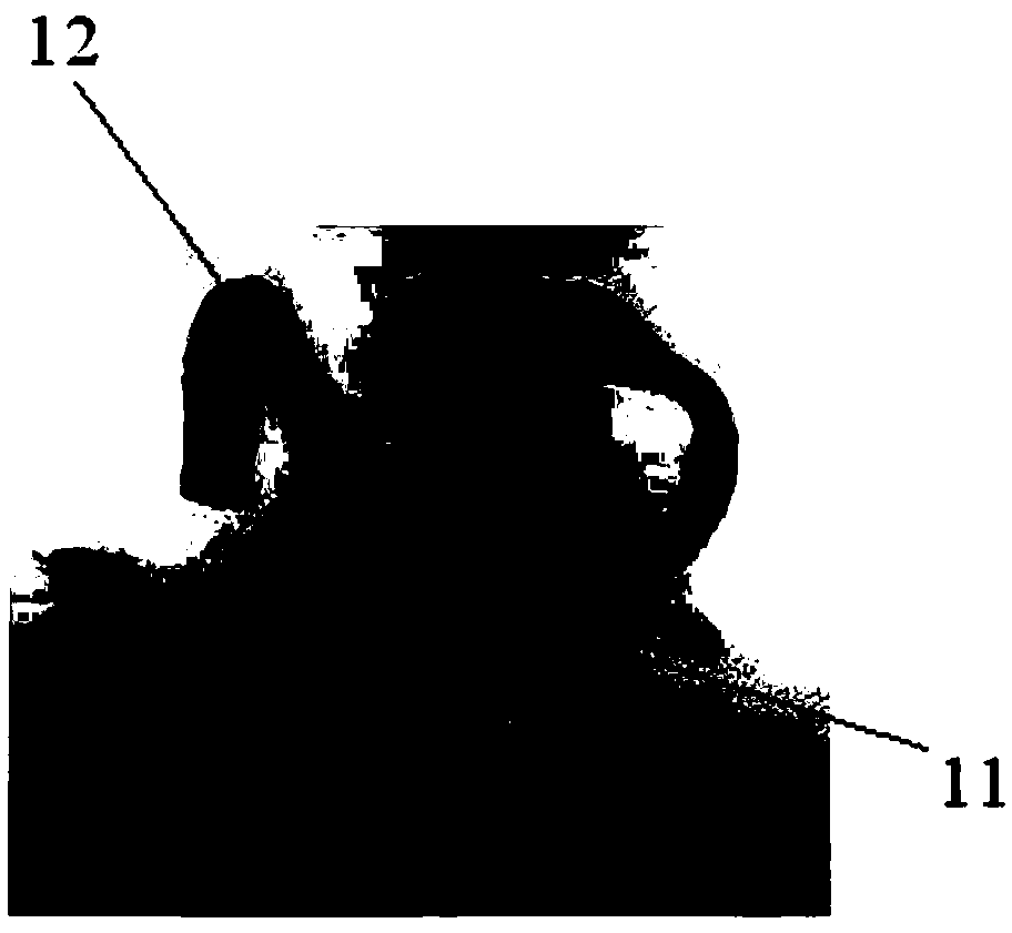 Underwater breathing mask for Bama miniature pigs