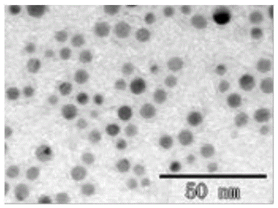 Preparation method and application of deoxycholic-acid-modified silver nanoparticle solution