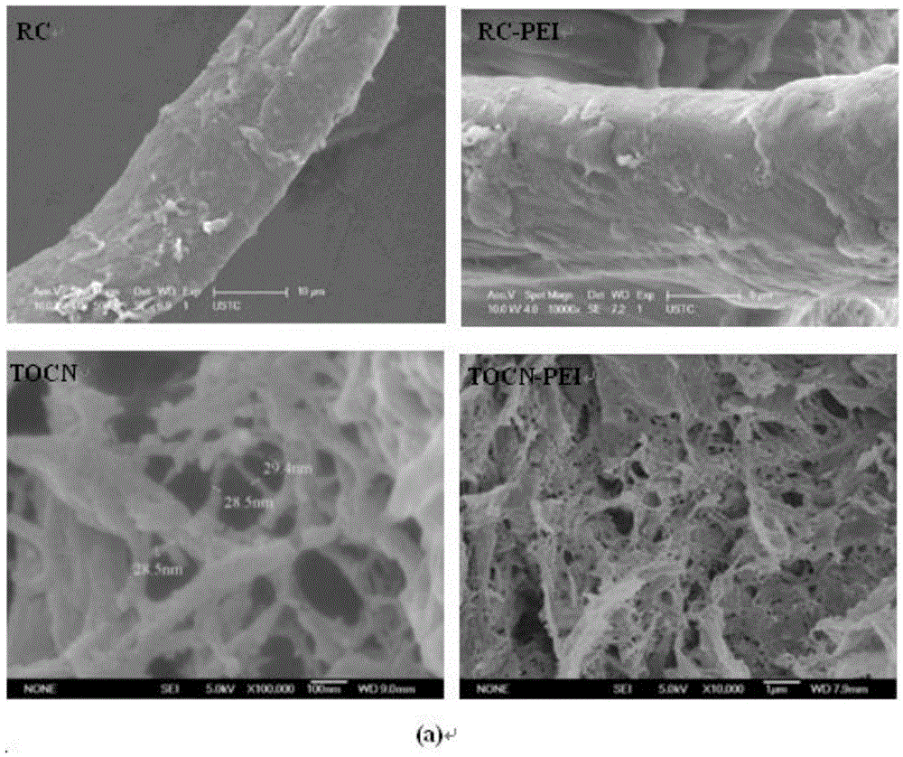 Oxidation nanocellulose adsorbing material and preparation method thereof