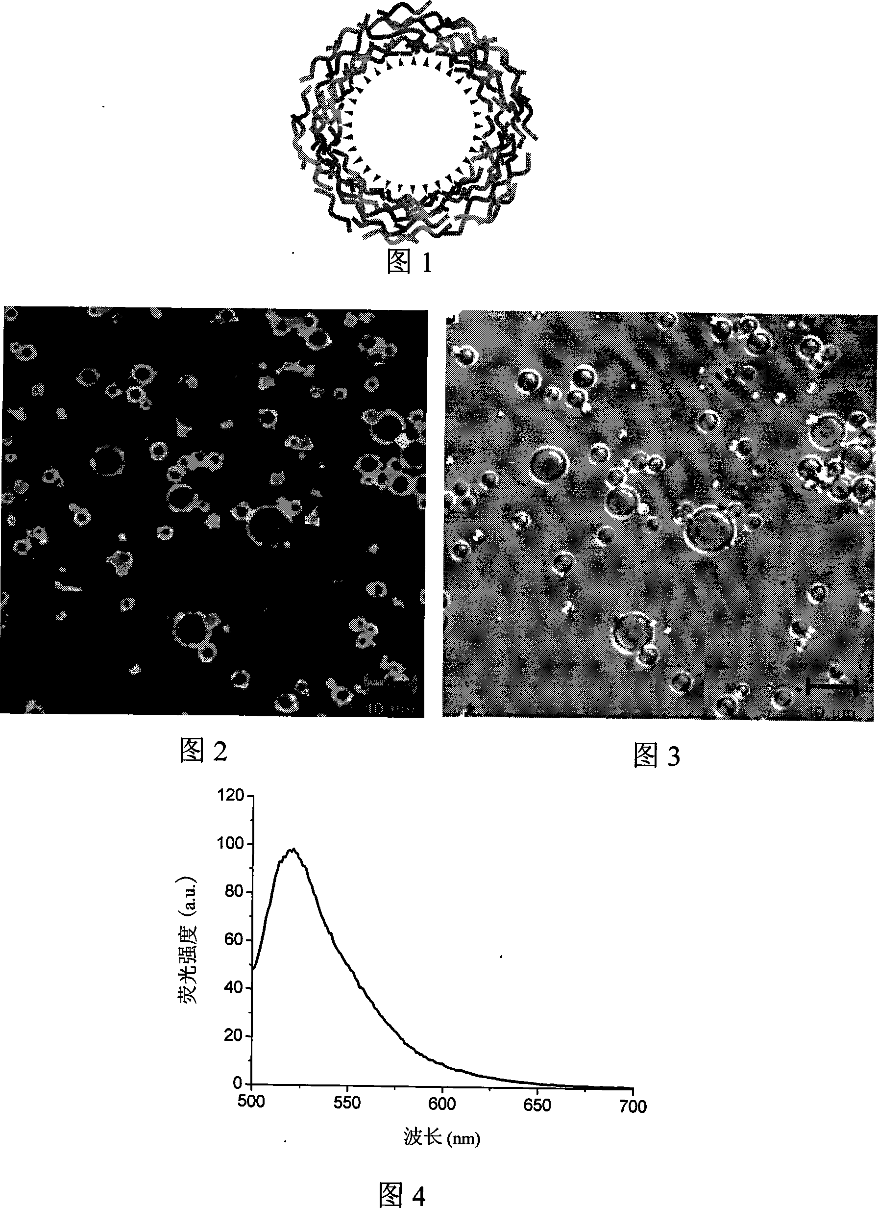 Method for preparing microcapsule coated microvesicle ultrasonic contrast medium