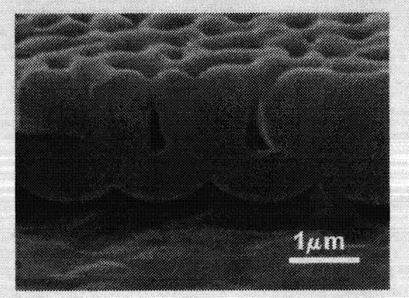 Method for preparing overlarge crystal-cell porous pellumina