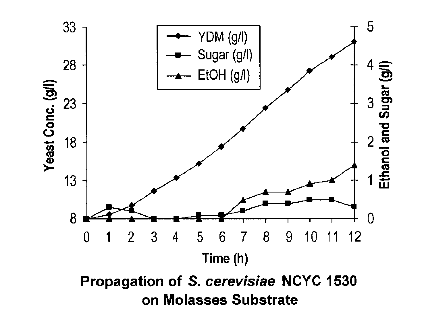 Method of producing baker's yeast