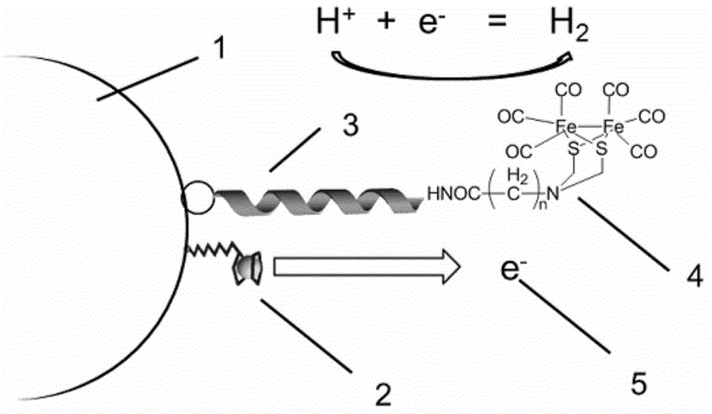 Hydrogen production nano-device, production method thereof, and hydrogen production method