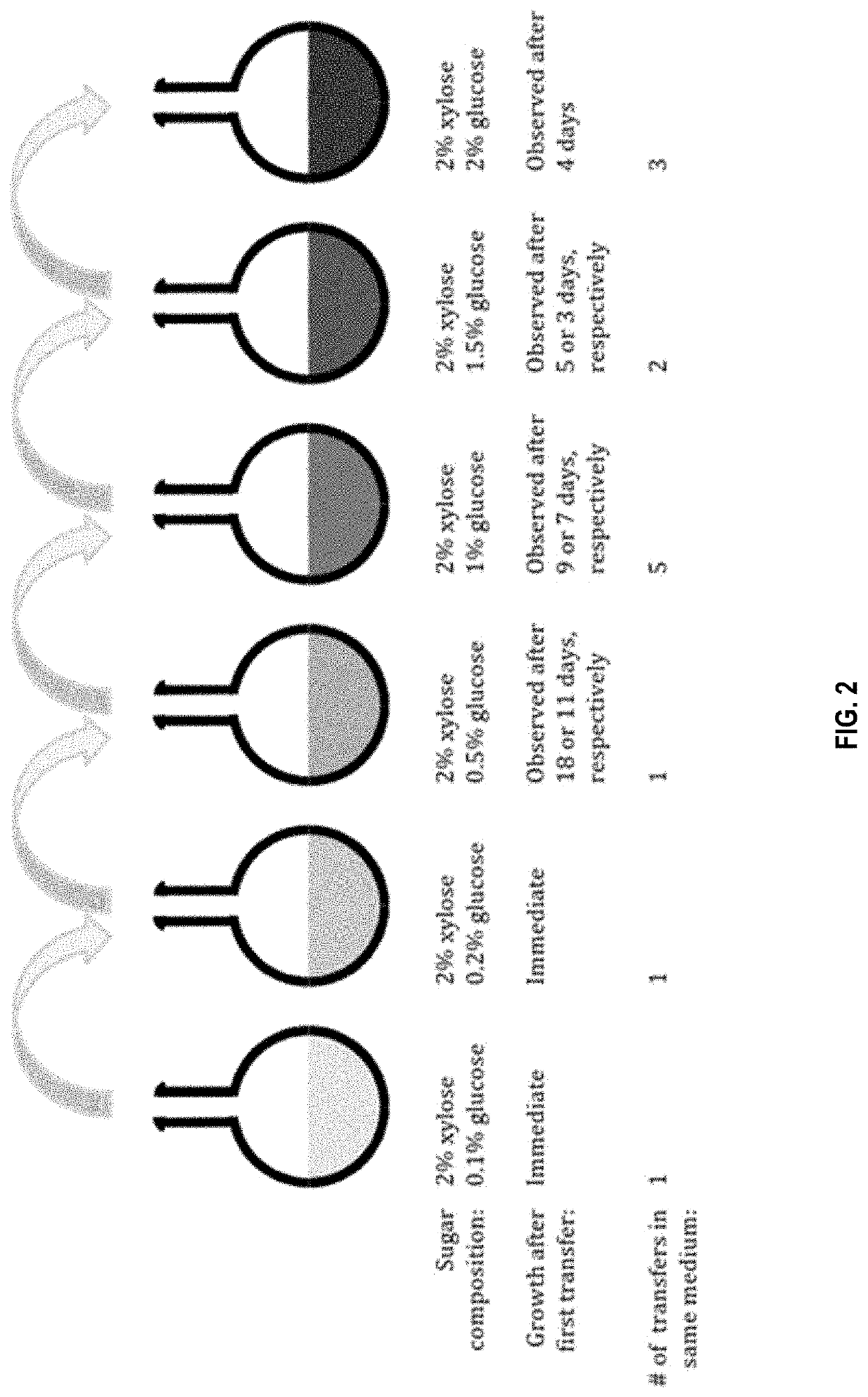 Yeast cell capable of simultaneously fermenting hexose and pentose sugars