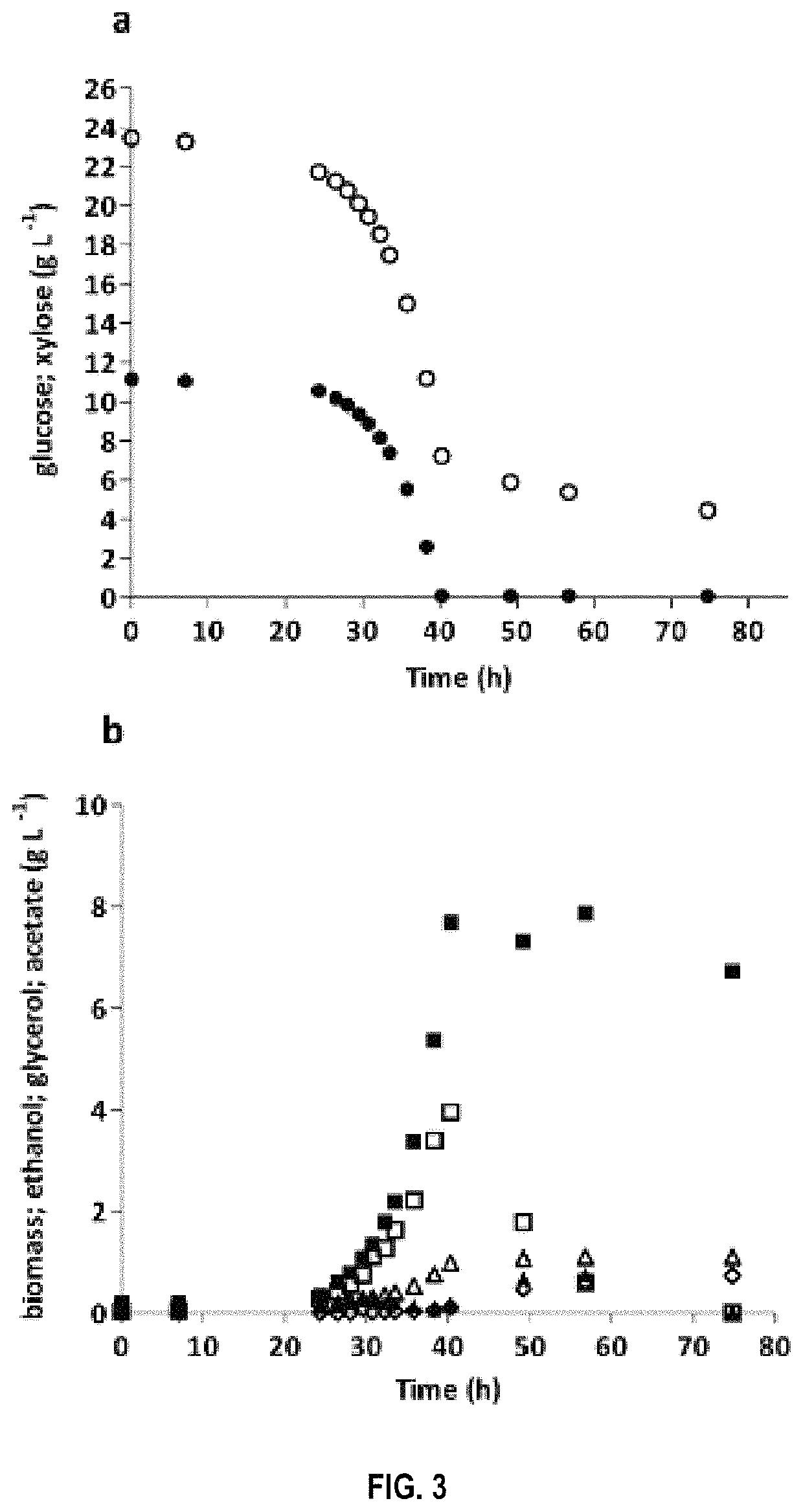 Yeast cell capable of simultaneously fermenting hexose and pentose ...