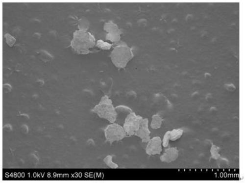 A preparation method of aluminum anode material for sustainable and stable hydrogen production