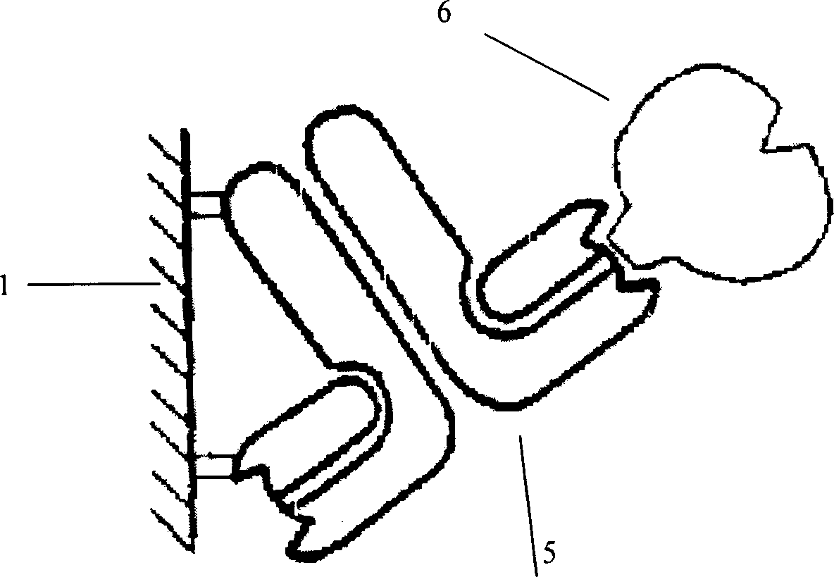 Protein chip of directional immobilizing antibody, its preparing method and use thereof