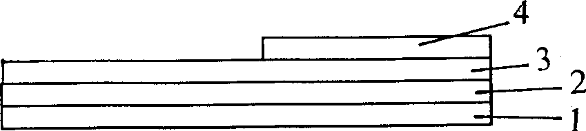 Protein chip of directional immobilizing antibody, its preparing method and use thereof