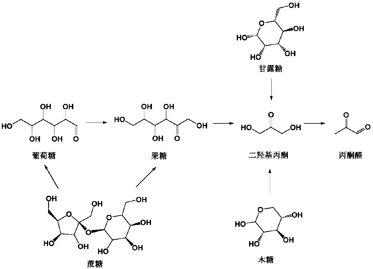 Method for preparing pyruvic aldehyde