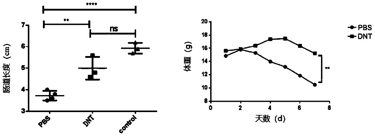 Medicine for treating inflammatory bowel diseases