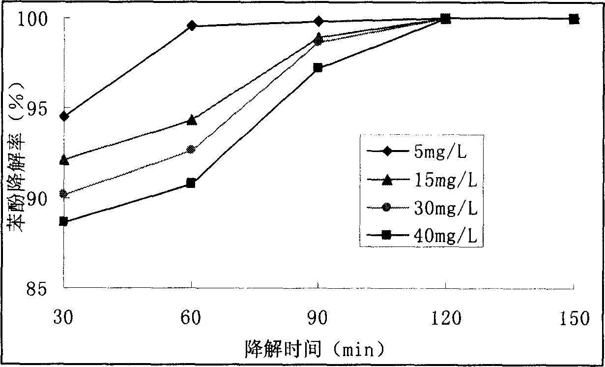 Water treatment method using tourmaline as catalyst