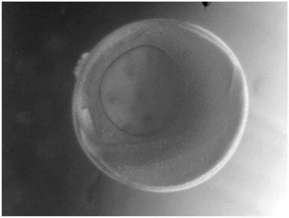 A sustainable method for observing embryonic development