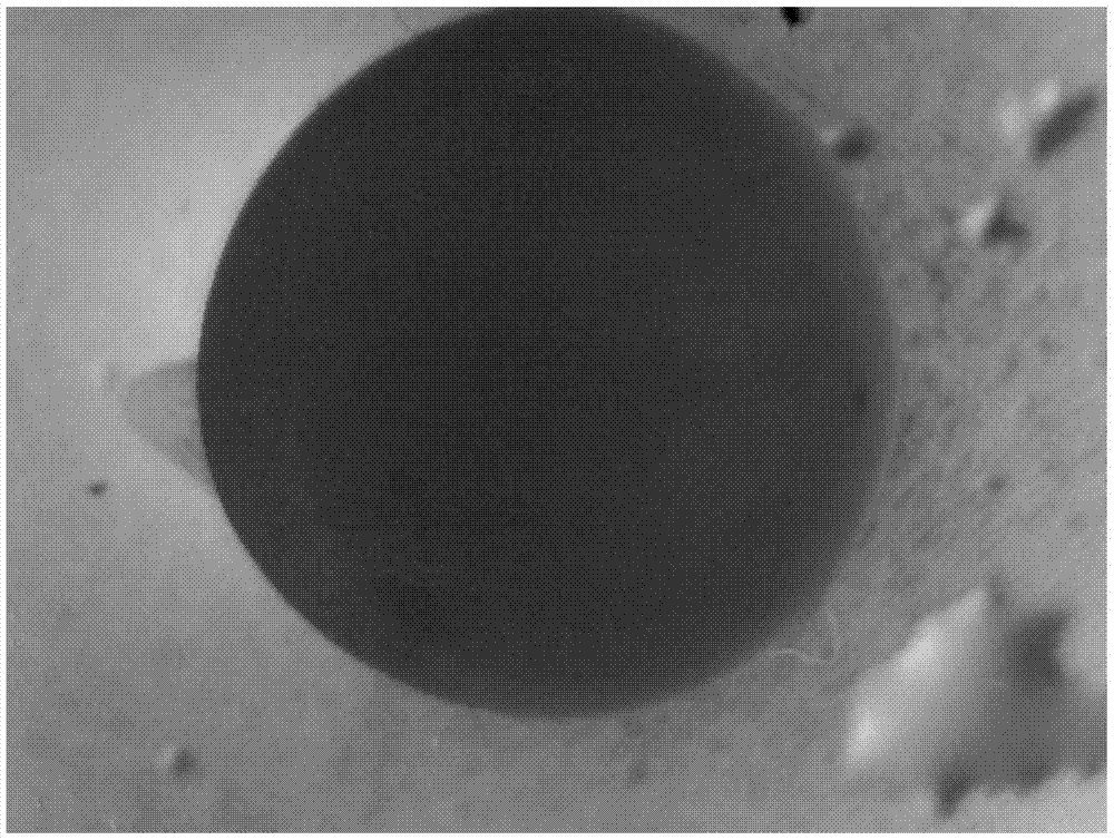 A sustainable method for observing embryonic development