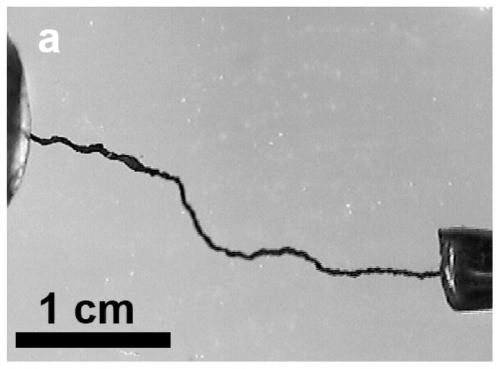 Porous graphene-carbon nanotube composite fiber and its rapid preparation method