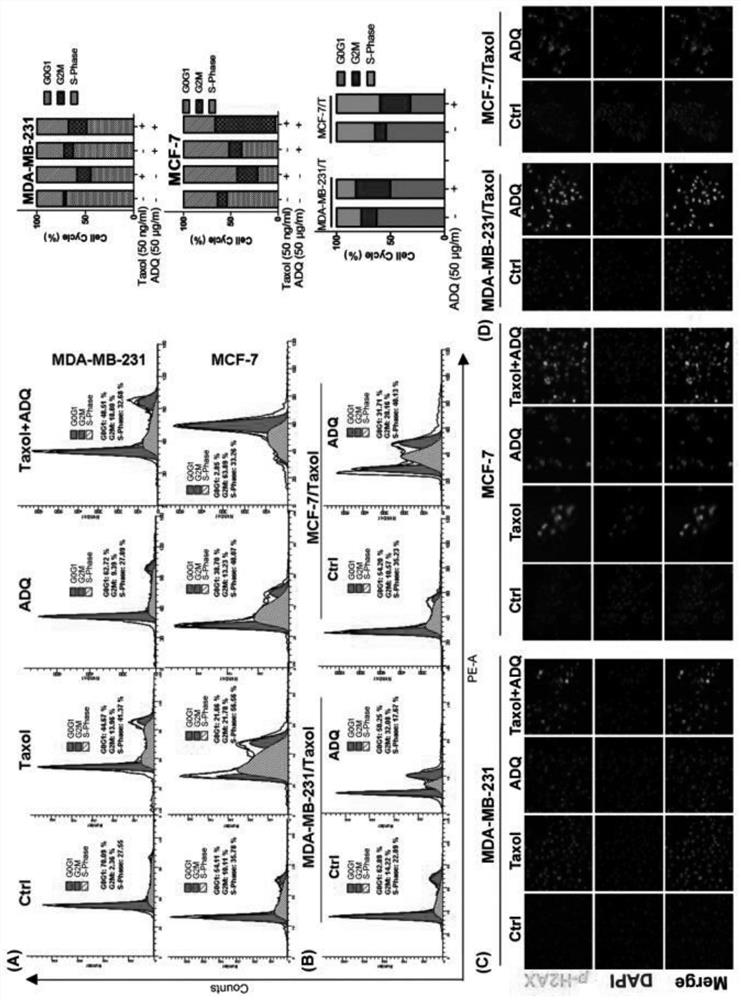 A traditional Chinese medicine composition for chemosensitization of breast cancer and its preparation method