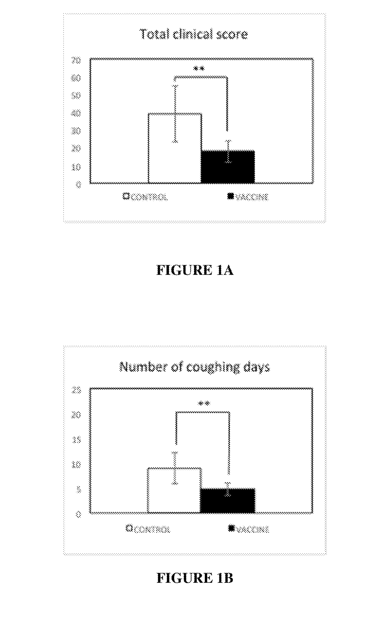 Immunogenic and vaccine compositions for use against bordetella bronchiseptica infection