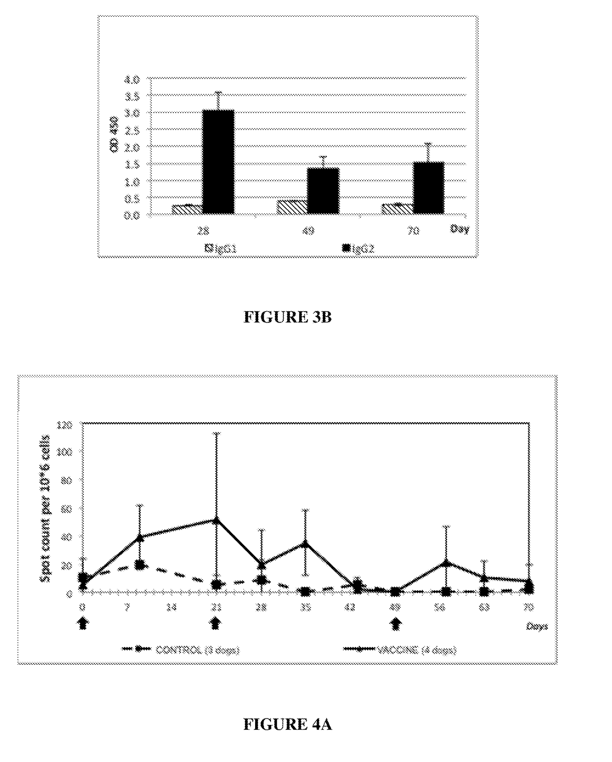 Immunogenic and vaccine compositions for use against bordetella bronchiseptica infection