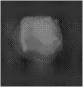 Method for preparing perovskite quantum dot-polymer porous composite material