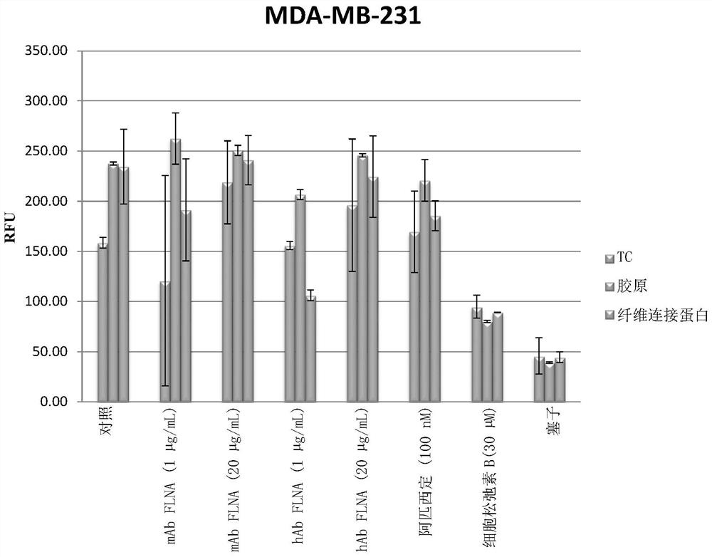 Antibodies directed to filamin-a and therapeutic uses thereof