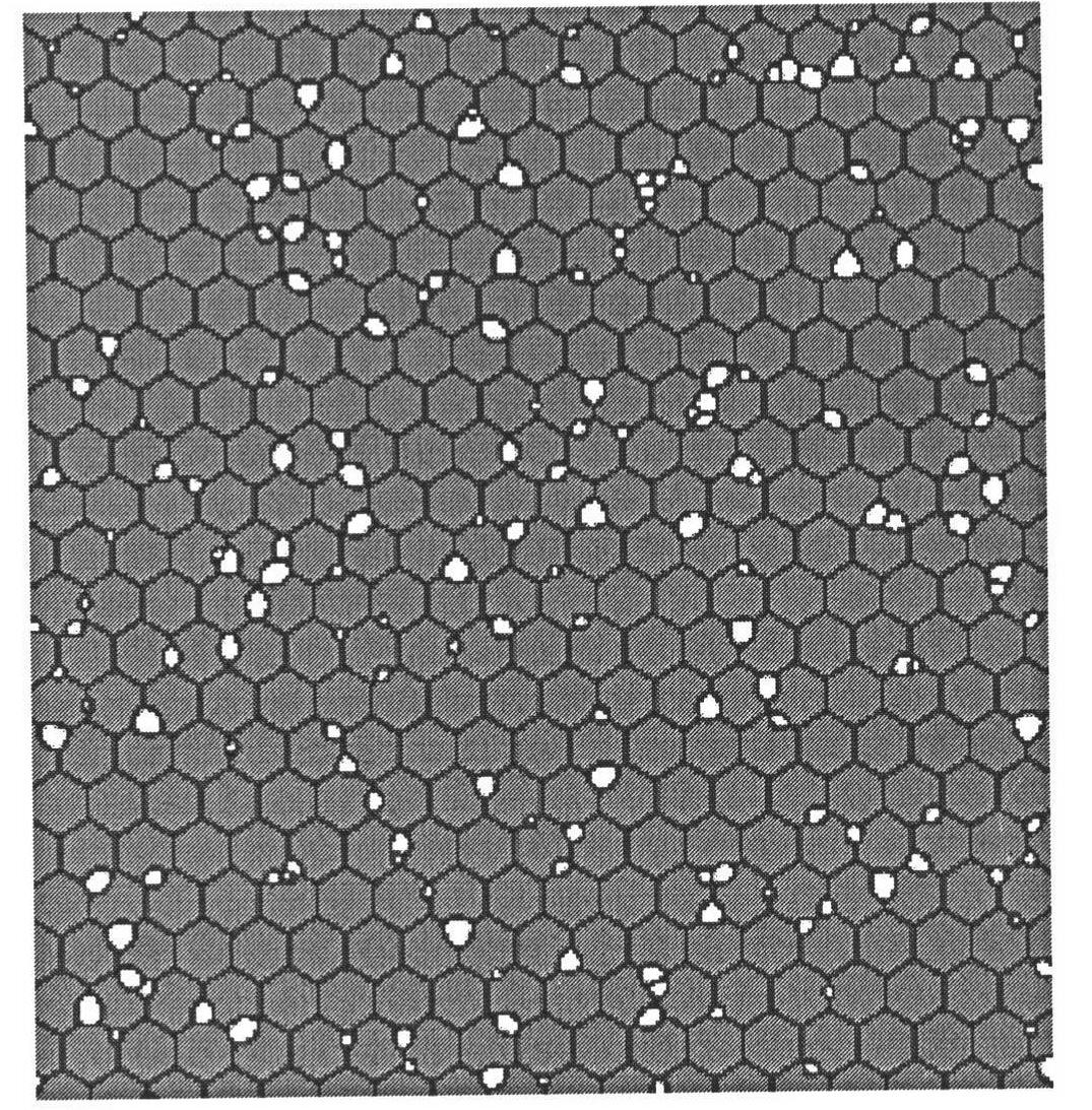 Method for predicting dynamic recrystallization microstructure evolution in thermal deformation process of pure copper