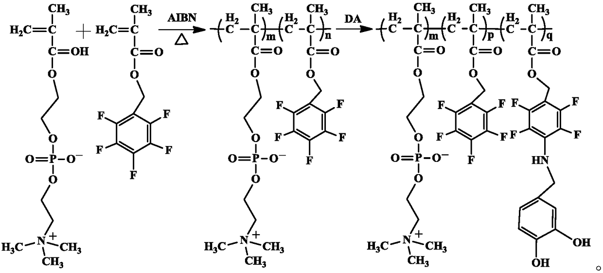 Double-bionic polymer and preparation method and application thereof