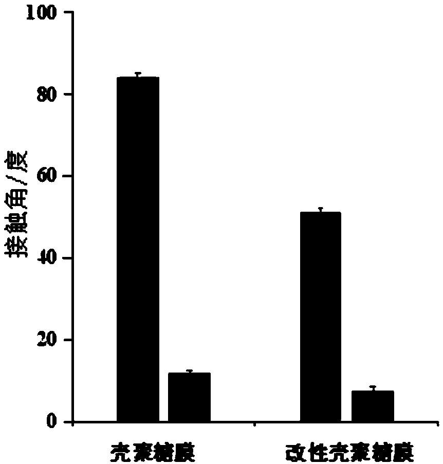 Double-bionic polymer and preparation method and application thereof