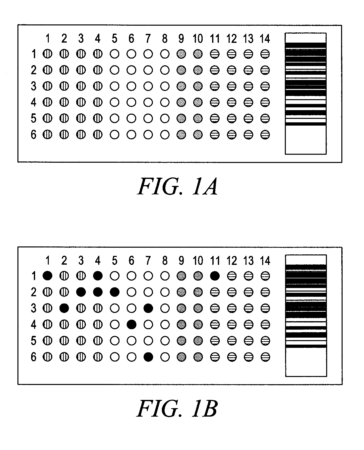 Compositions and methods for determining immune status