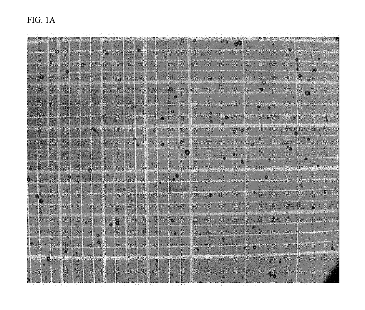 Crosslinked particles