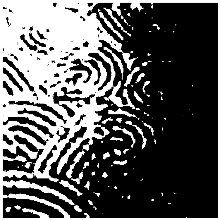 Digital image analysis method based on fractal dimension