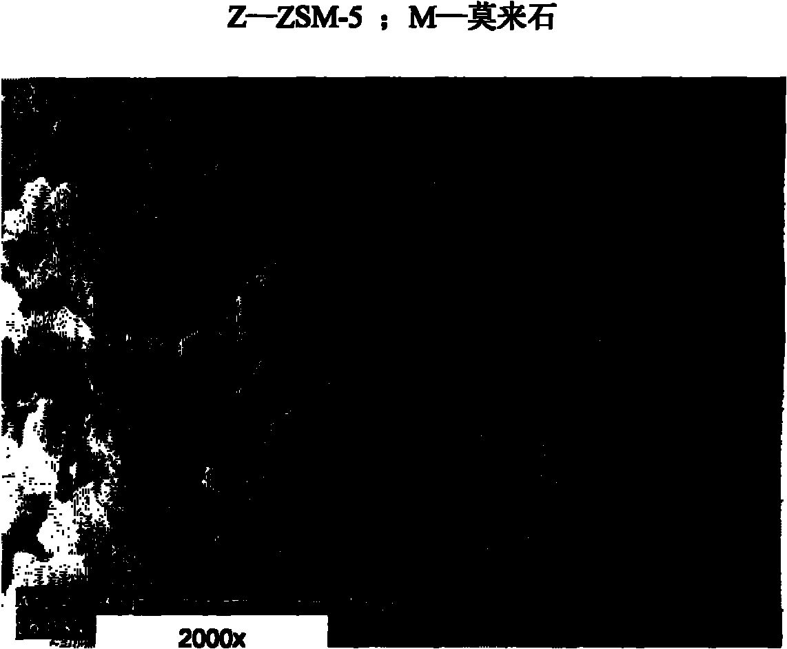 Method for preparing ZSM-5 zeolite/clay composite catalytic material without amine