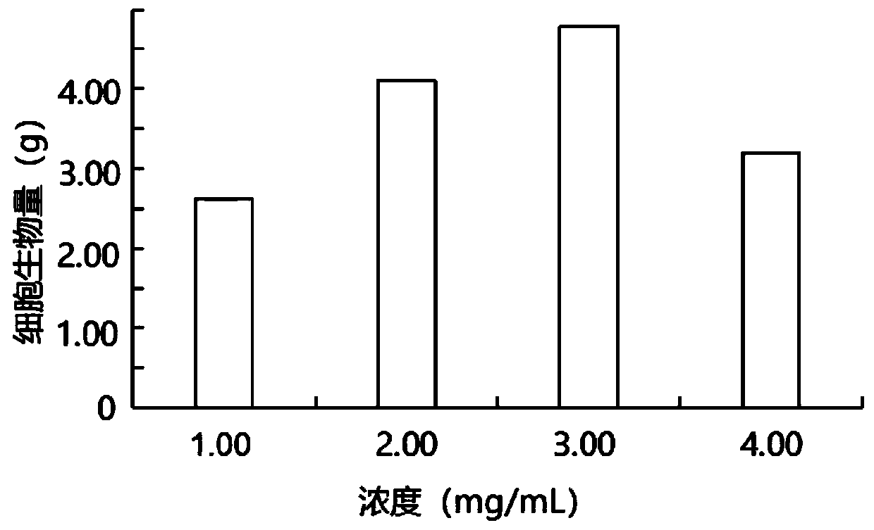 Rapid panax japonicus callus propagation expansion method