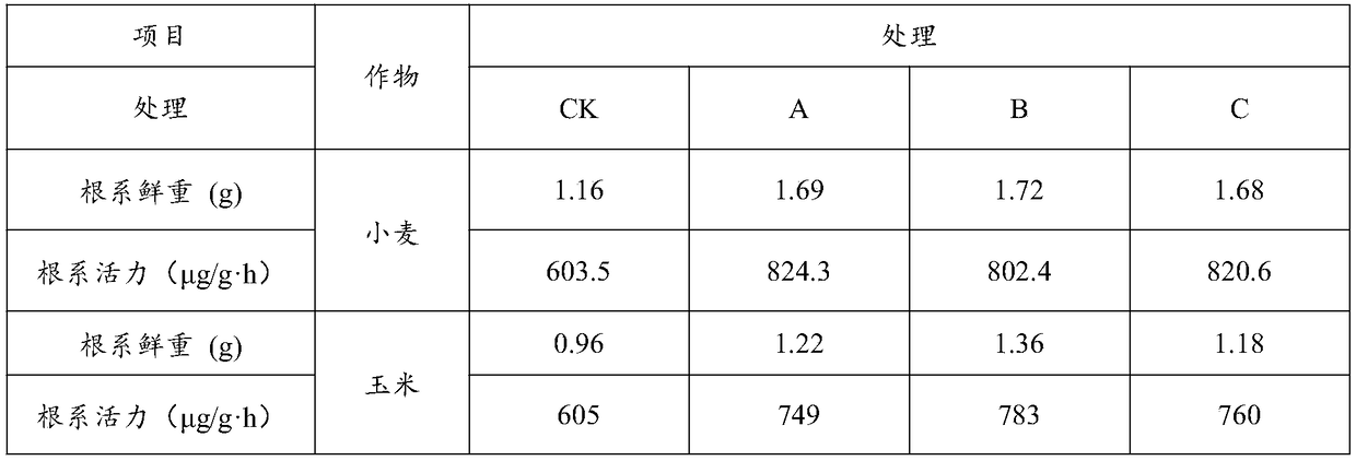 Method for preparing ammonium phosphate containing humic acid synergistic carrier for winter wheat or spring corn base fertilizer