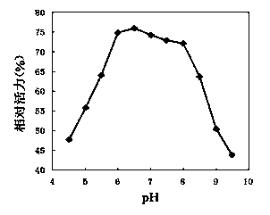 Recombinant high-temperature pullulanase and preparation method thereof