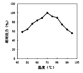 Recombinant high-temperature pullulanase and preparation method thereof