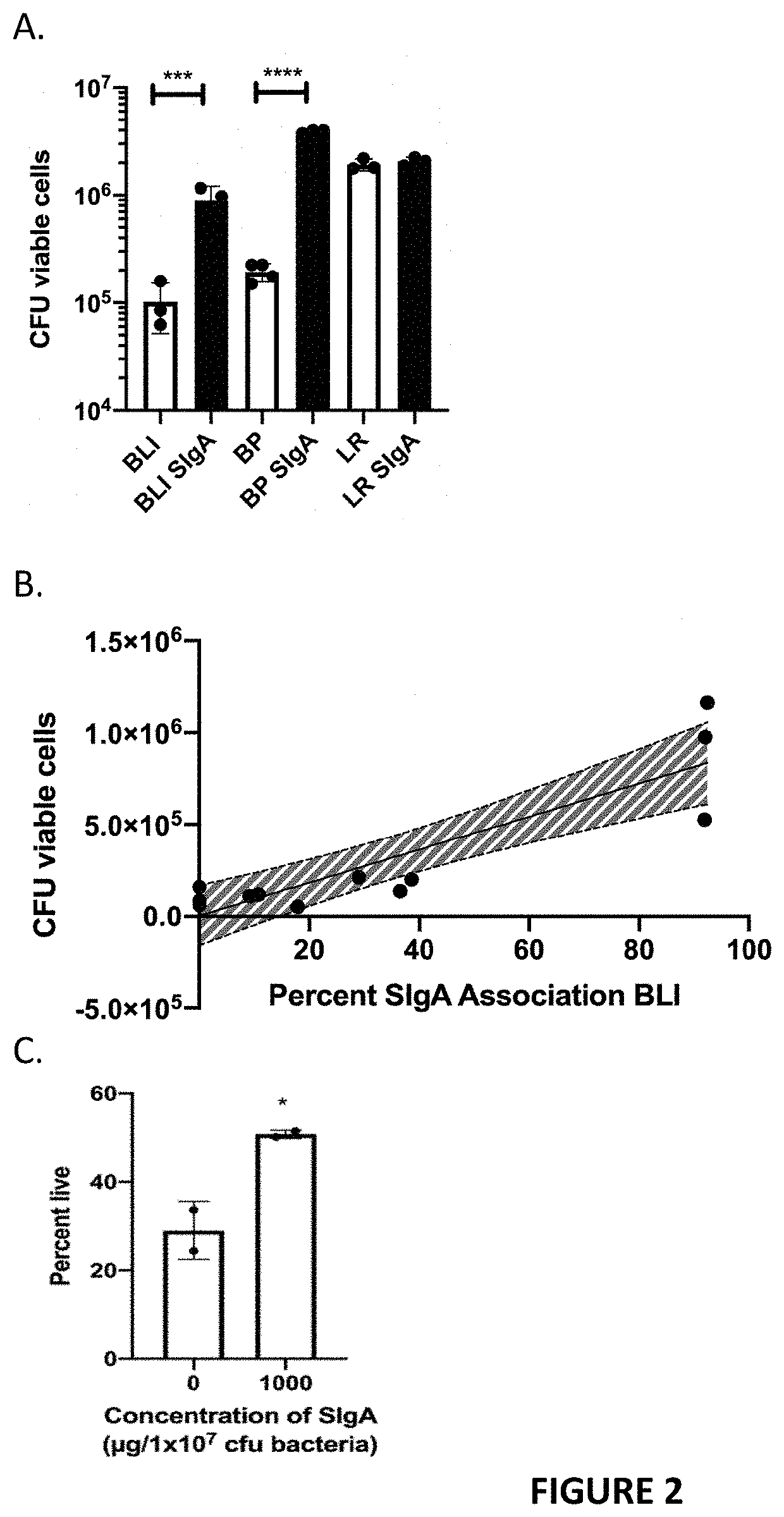 Beneficial bacteria and secretory immunoglobulin a