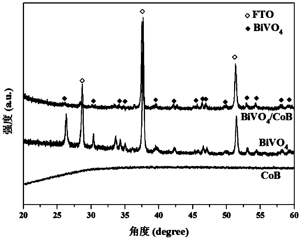 Cobalt boride modified bismuth vanadate film photoelectric anode as well as preparation method and application thereof