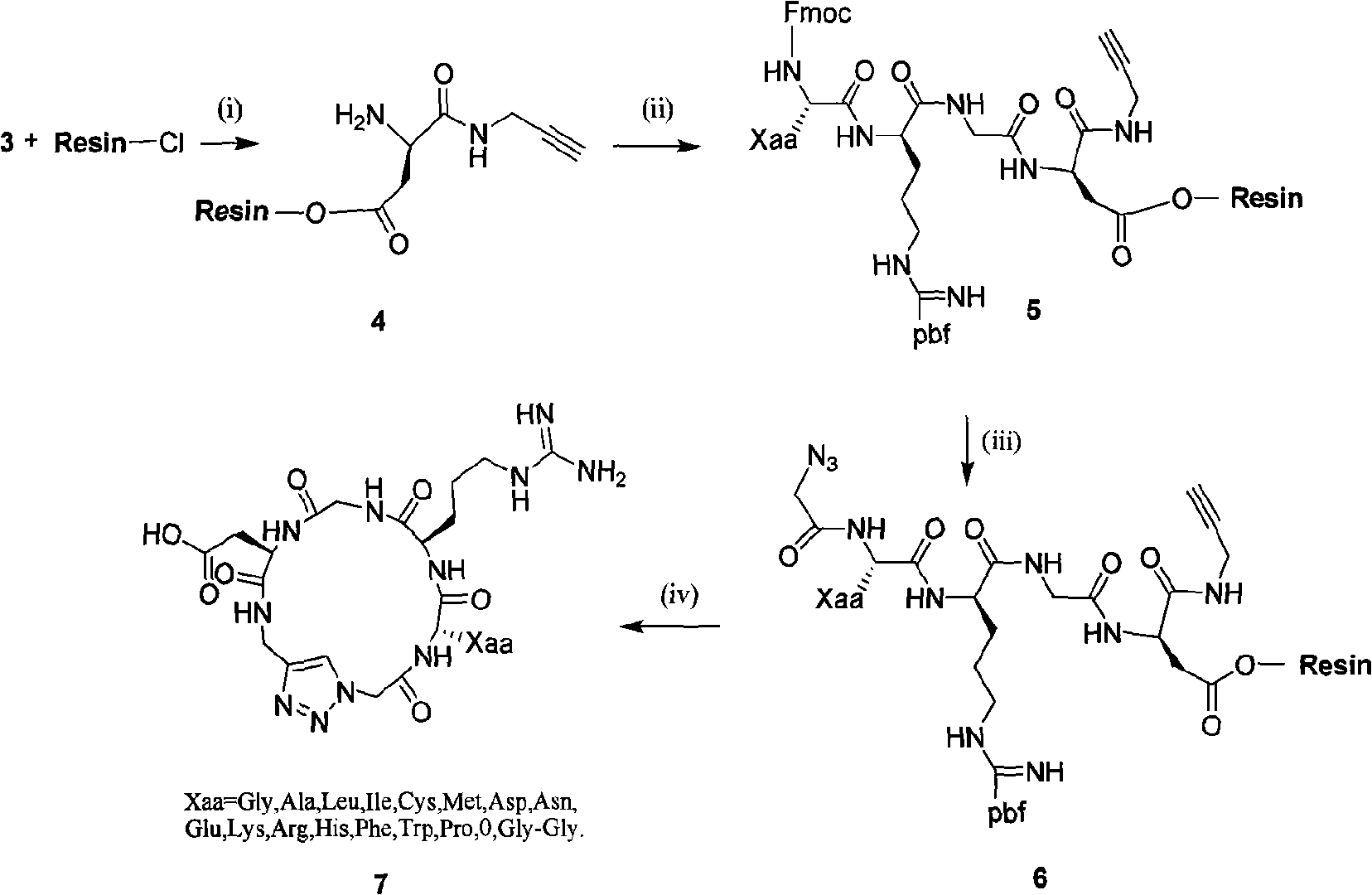 Integrin ligand cyclic peptide analogues and cyclization method