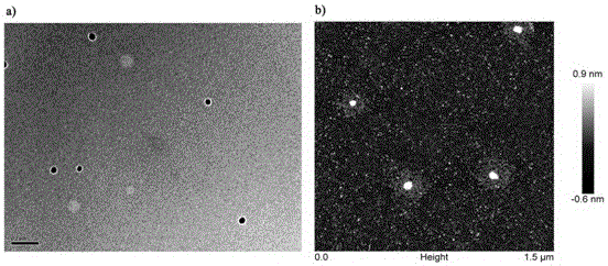 Dendronized alcoxyl ether polymer, modified gold nano microspheres thereof and preparation method thereof