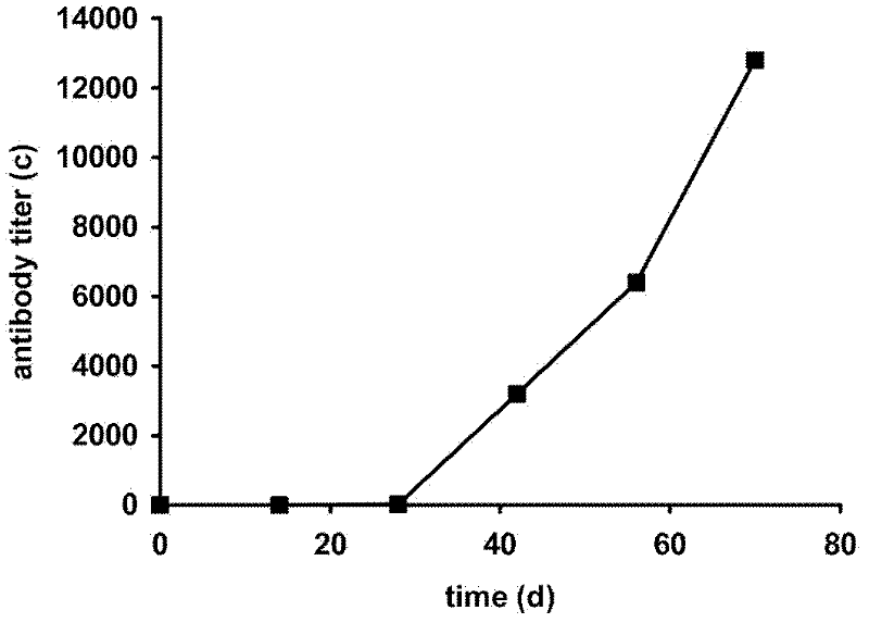 Immunogenic peptide of human voltage-gated potassium channel 1.5 (hKv1.5) and purpose thereof