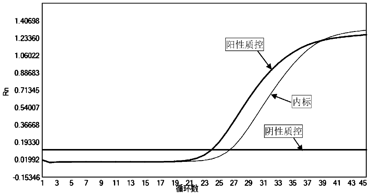 Fluorescent quantitative PCR kit for detecting rubella viruses