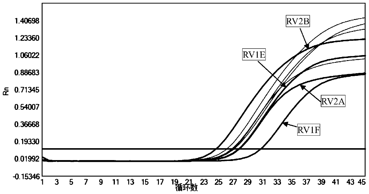 Fluorescent quantitative PCR kit for detecting rubella viruses