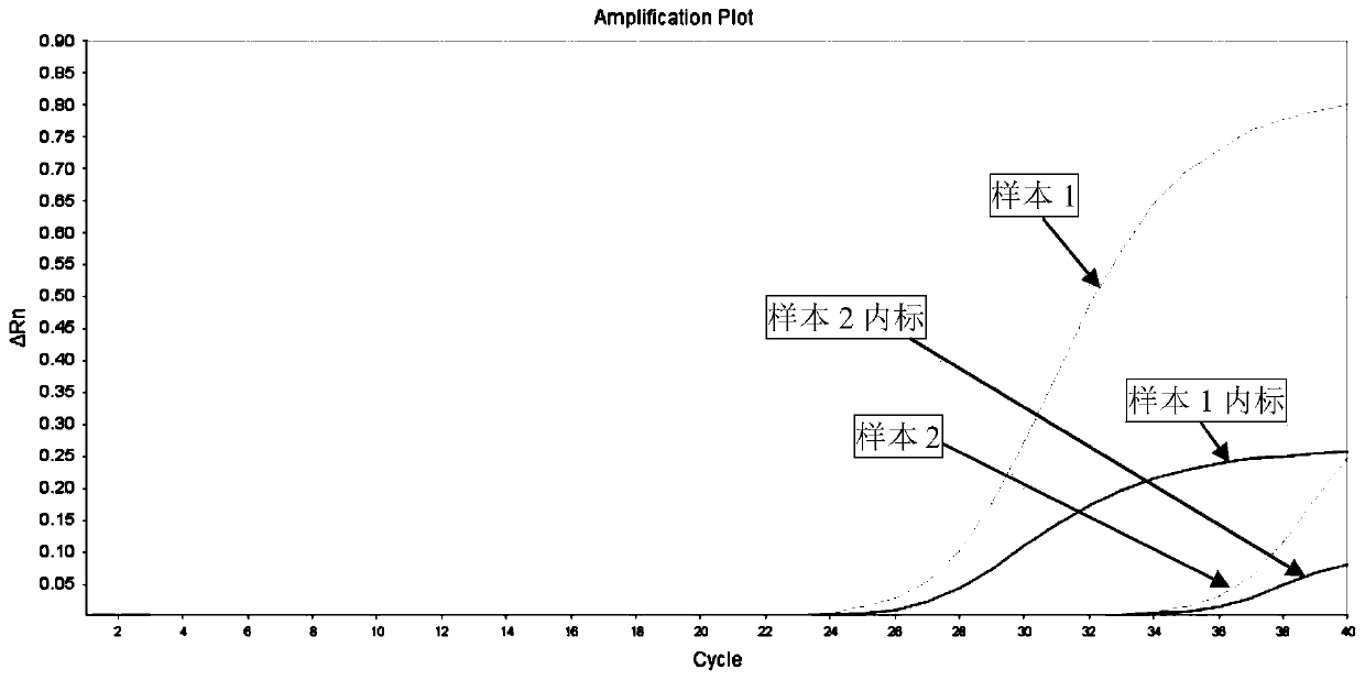 Fluorescent quantitative PCR kit for detecting rubella viruses