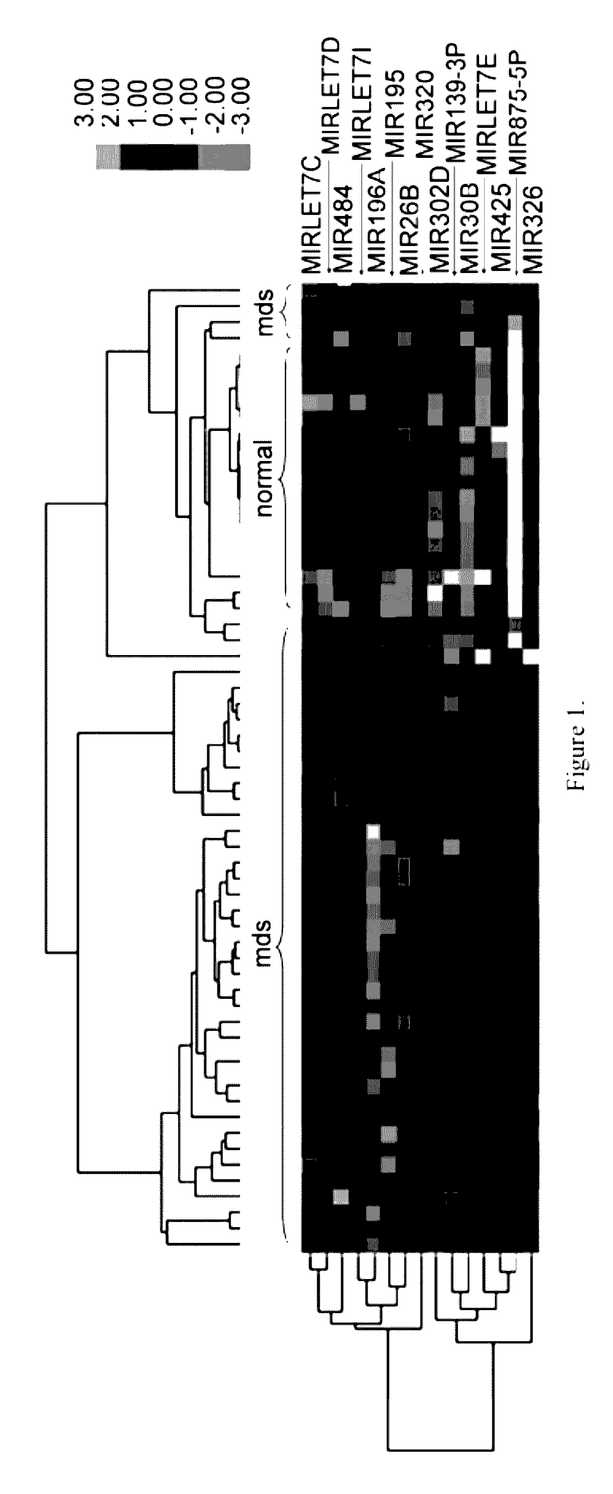 Method of identifying myelodysplastic syndromes