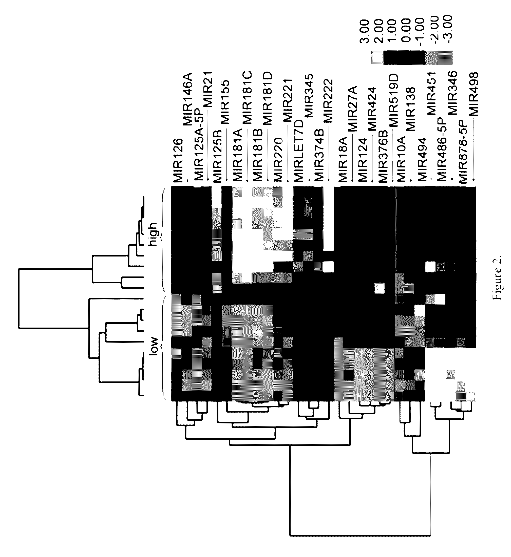 Method of identifying myelodysplastic syndromes