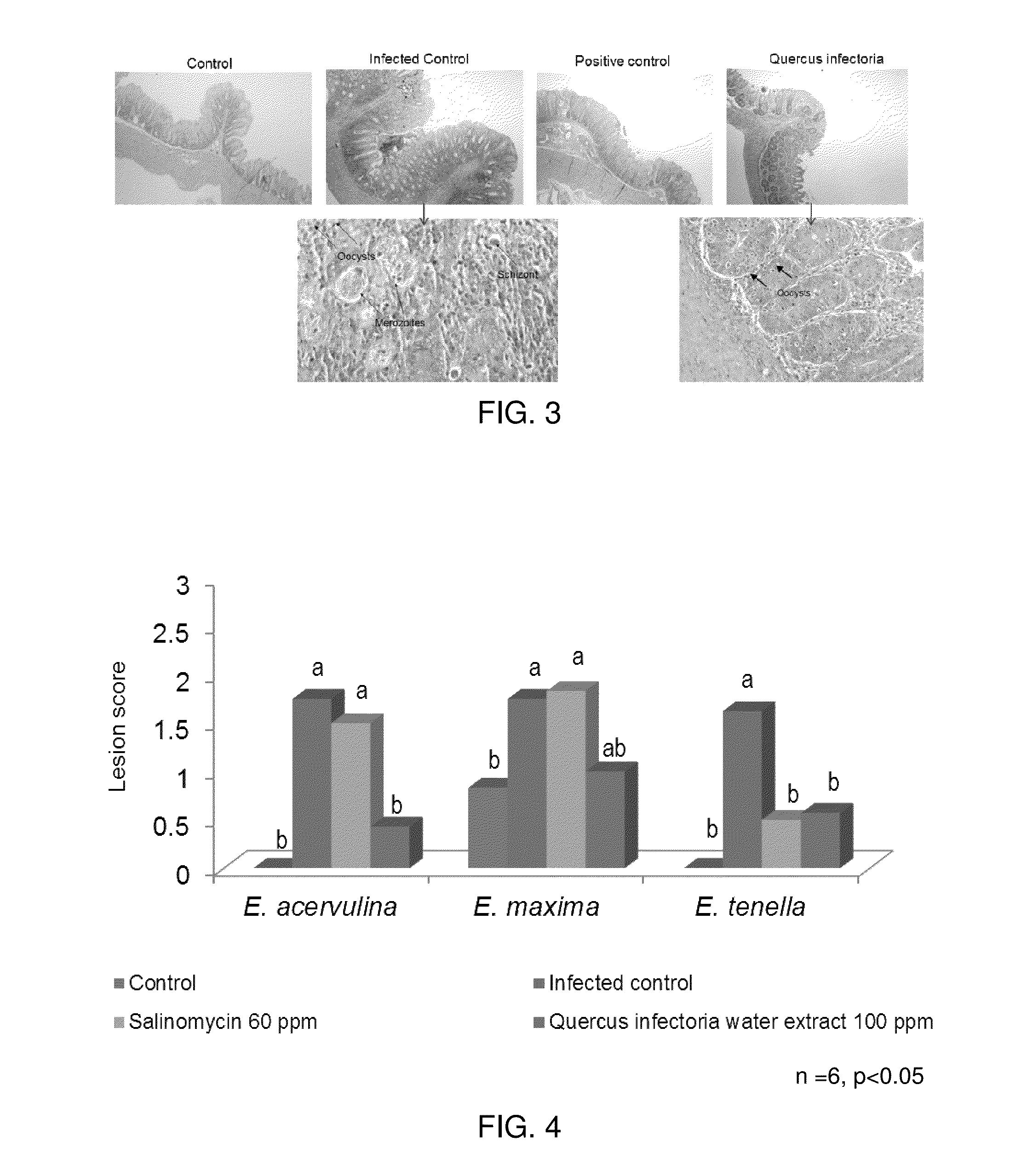 Plant Parts and Extracts Having Anticoccidial Activity