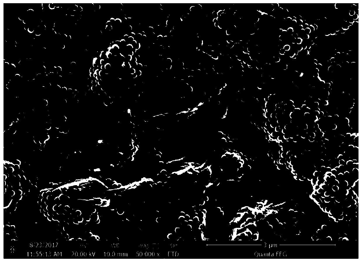 Mixed slurry for preparing composite diaphragm and preparation method of composite diaphragm