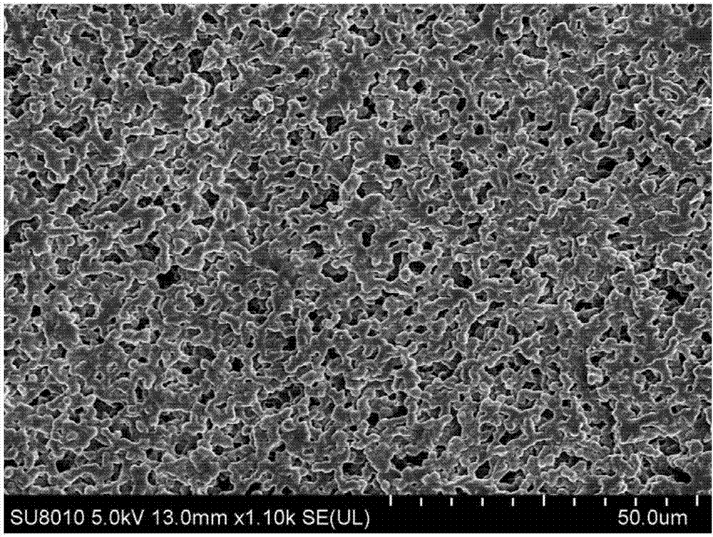 Preparation method of chitosan-based organic-inorganic hybridized porous thin film